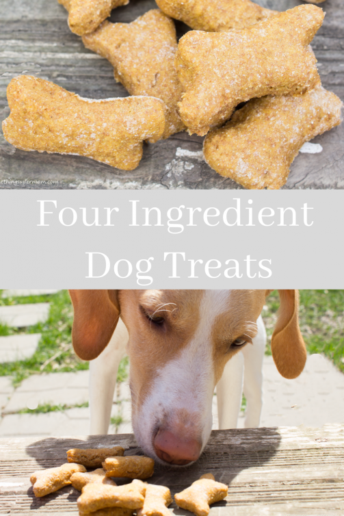 Easy Four Ingredient Homemade Dog Treats with Baby Food