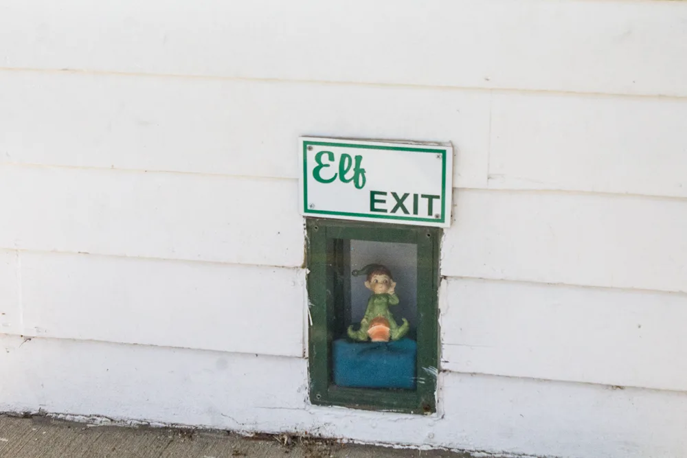 Elf at Fenelon Place Elevator 