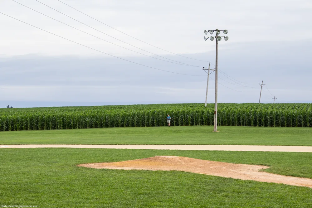 Field of Dreams cornfield. 