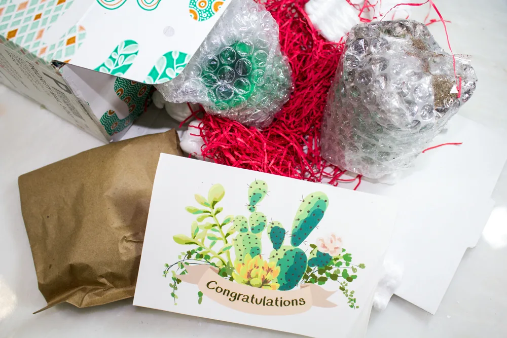 plant subscription box 