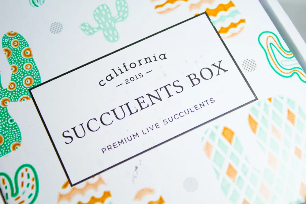 subscription plant box 