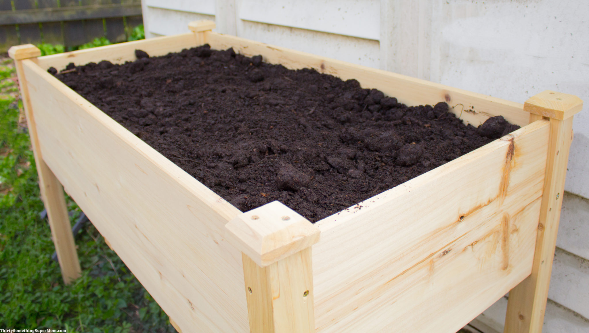 Tips for Growing Peppers in a Yaheetech Raised Garden Bed