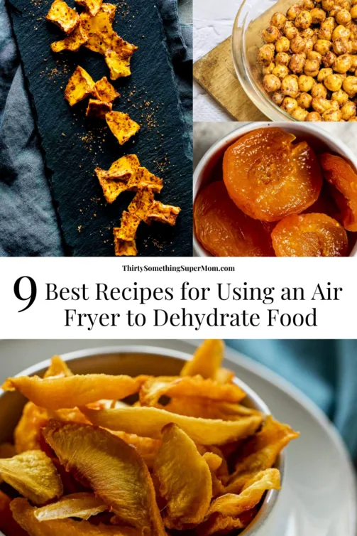9 best air fryer dehydrator recipes