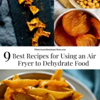 cropped-How-to-Dehydrate-Food-in-an-Air-Fryer-7-Recipes-1.png