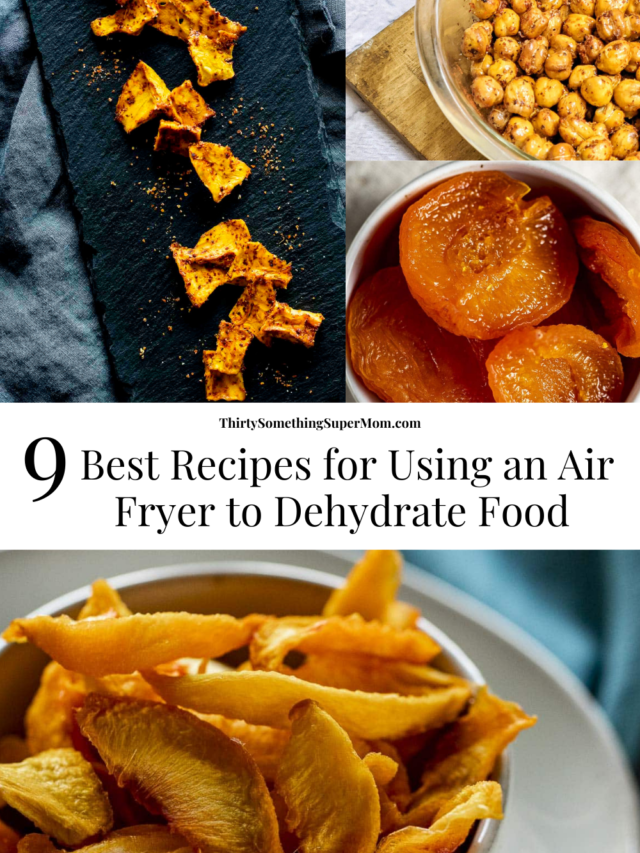 cropped-How-to-Dehydrate-Food-in-an-Air-Fryer-7-Recipes-1.png