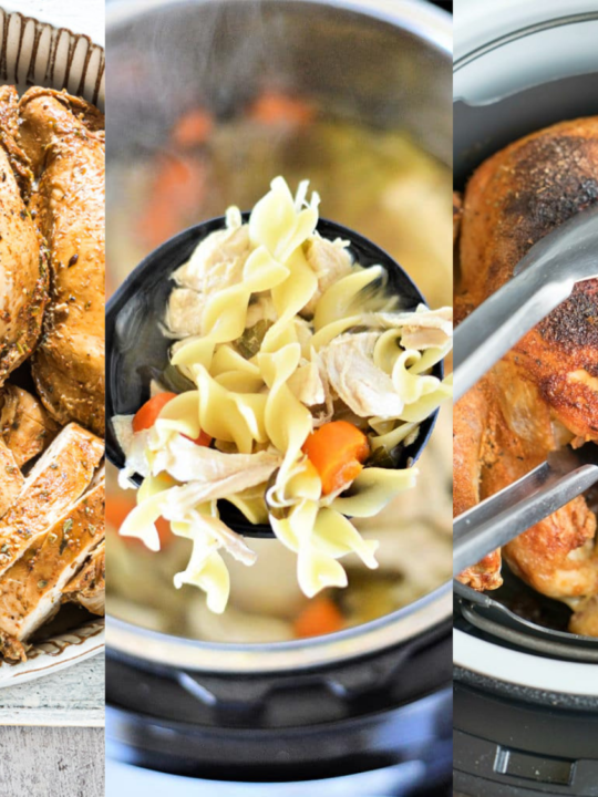 Instant Pot recipes with Frozen Chicken