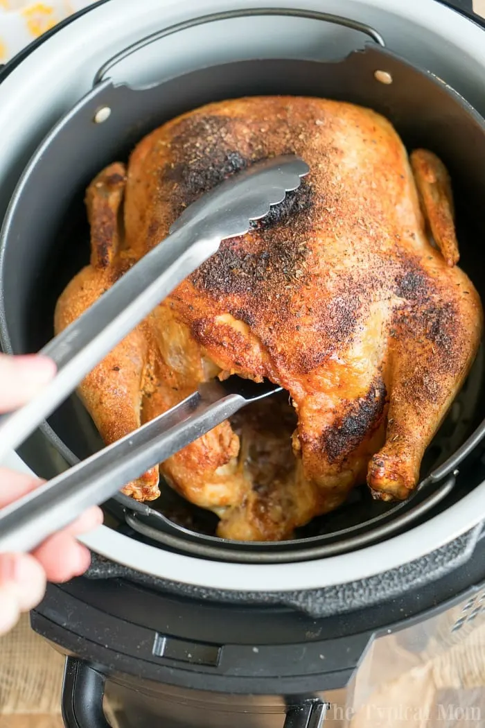 Instant pot recipes with frozen chicken 