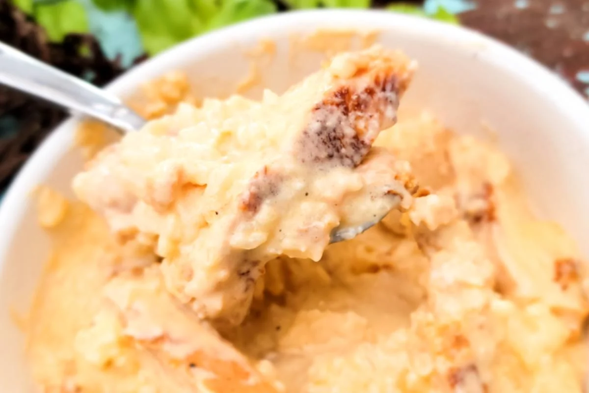 rotisserie chicken in low carb alfredo sauce