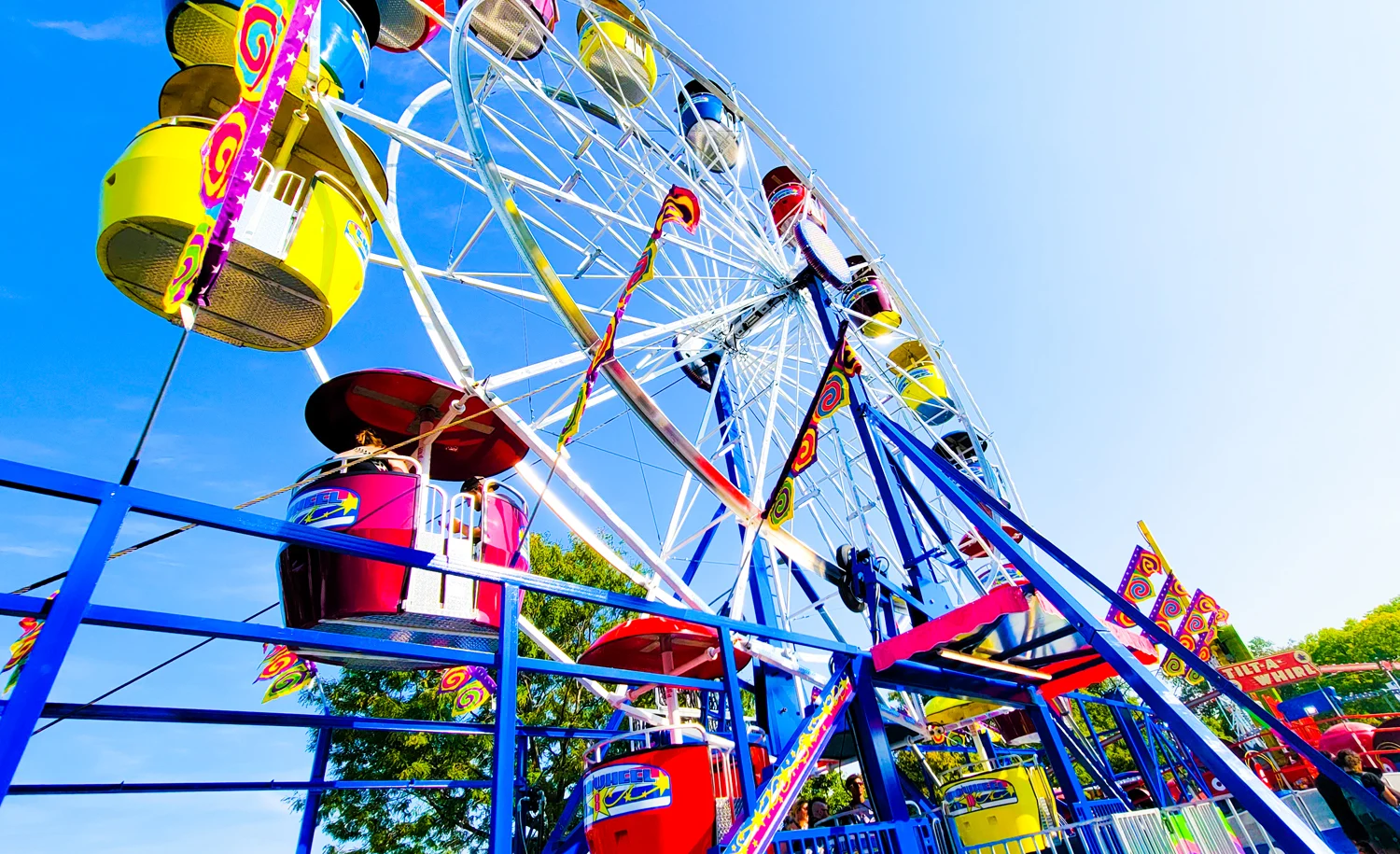 Ferris Wheel at Riot Fest Douglass Park 