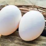 how many eggs a day on a keto diet can you eat