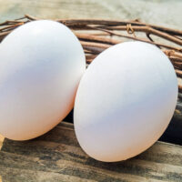how many eggs a day on a keto diet can you eat