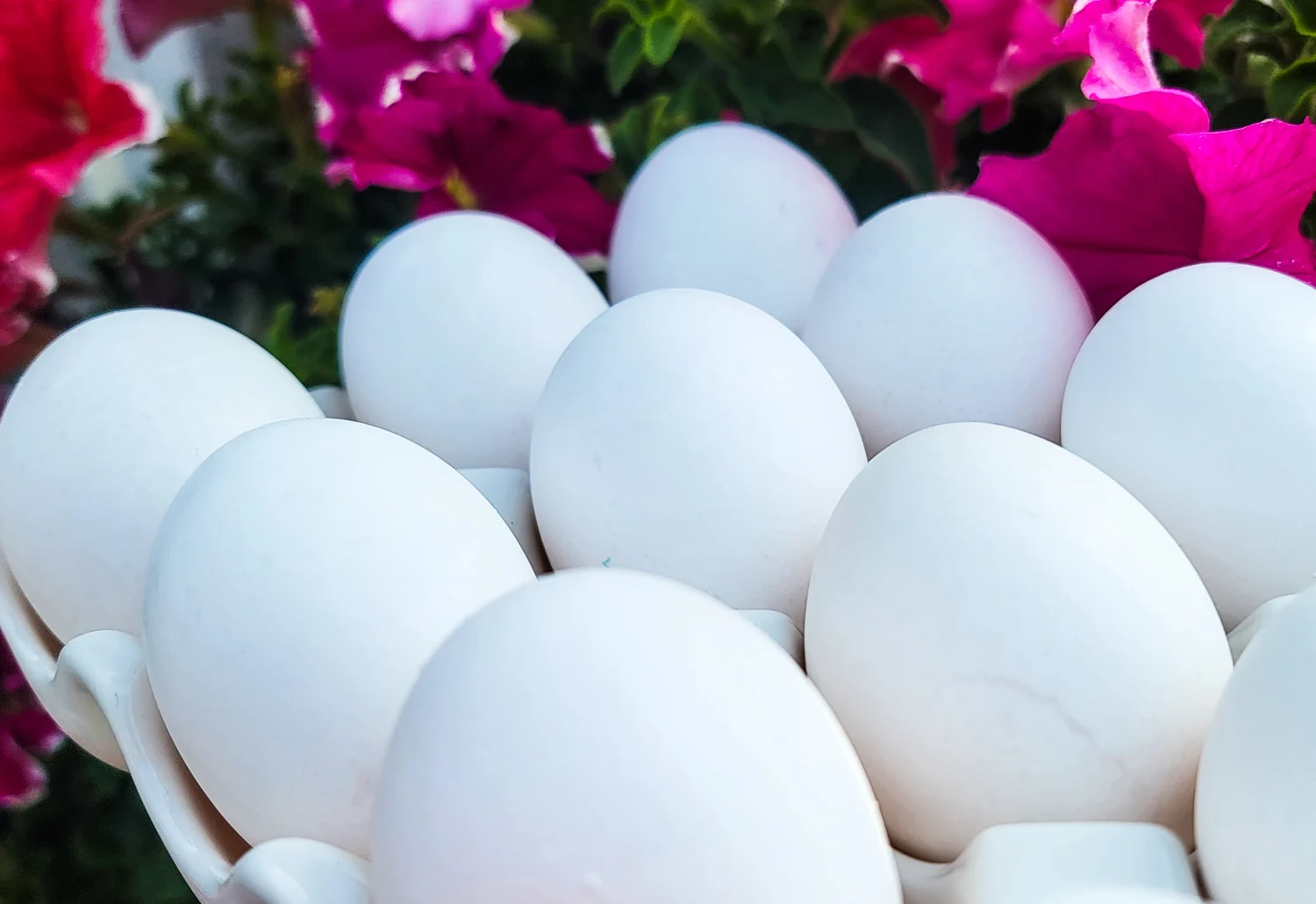 how many eggs a day on a keto diet can you eat