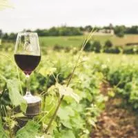 Best Iowa Wineries