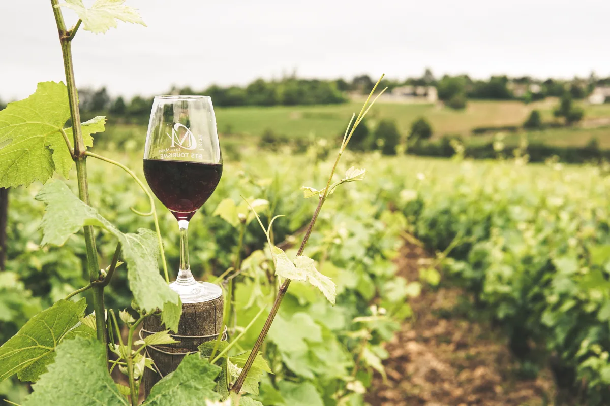 Best Iowa Wineries