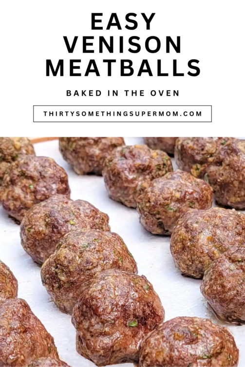 ground deer meat baked in oven