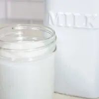 Coconut nut milk made from shredded coconuts