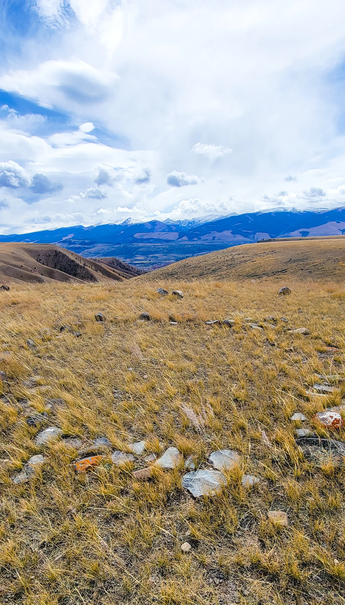 tipi rings in dubois wyoming