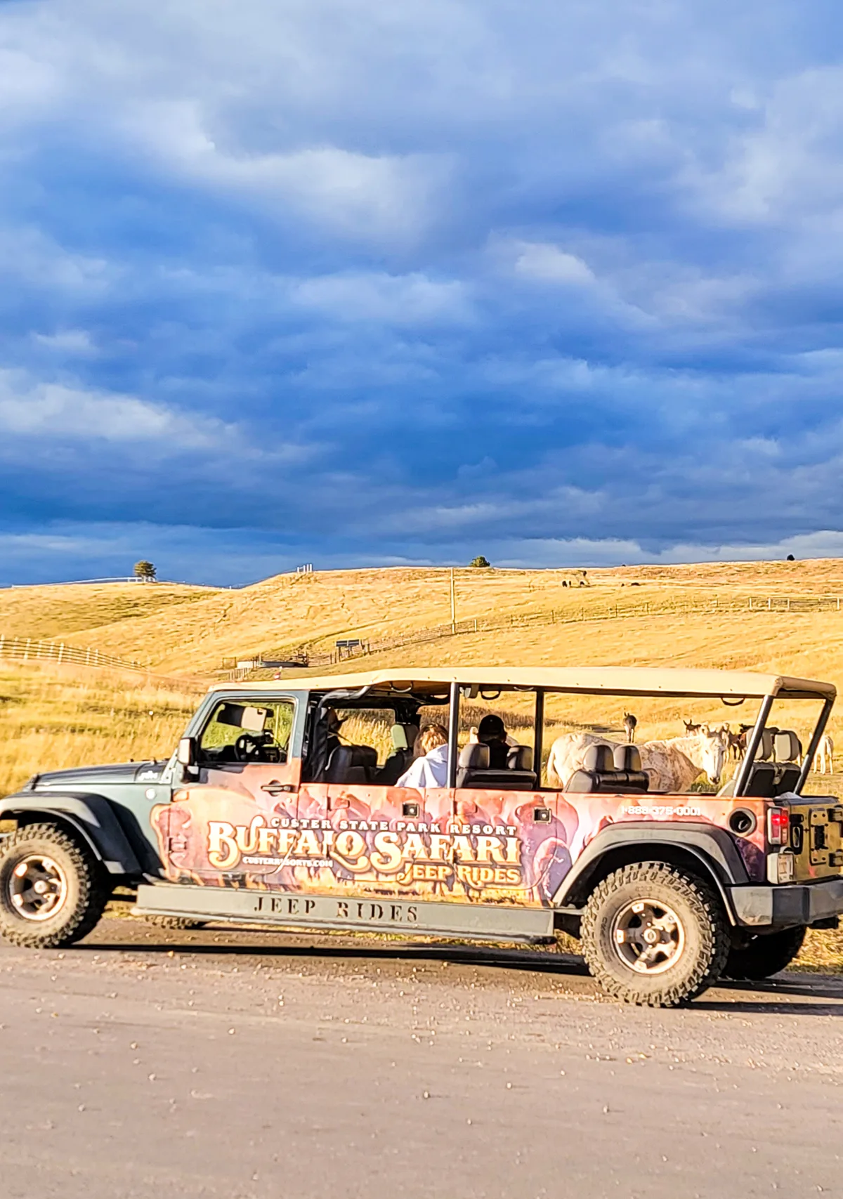 Guided tours at Custer State Park. 