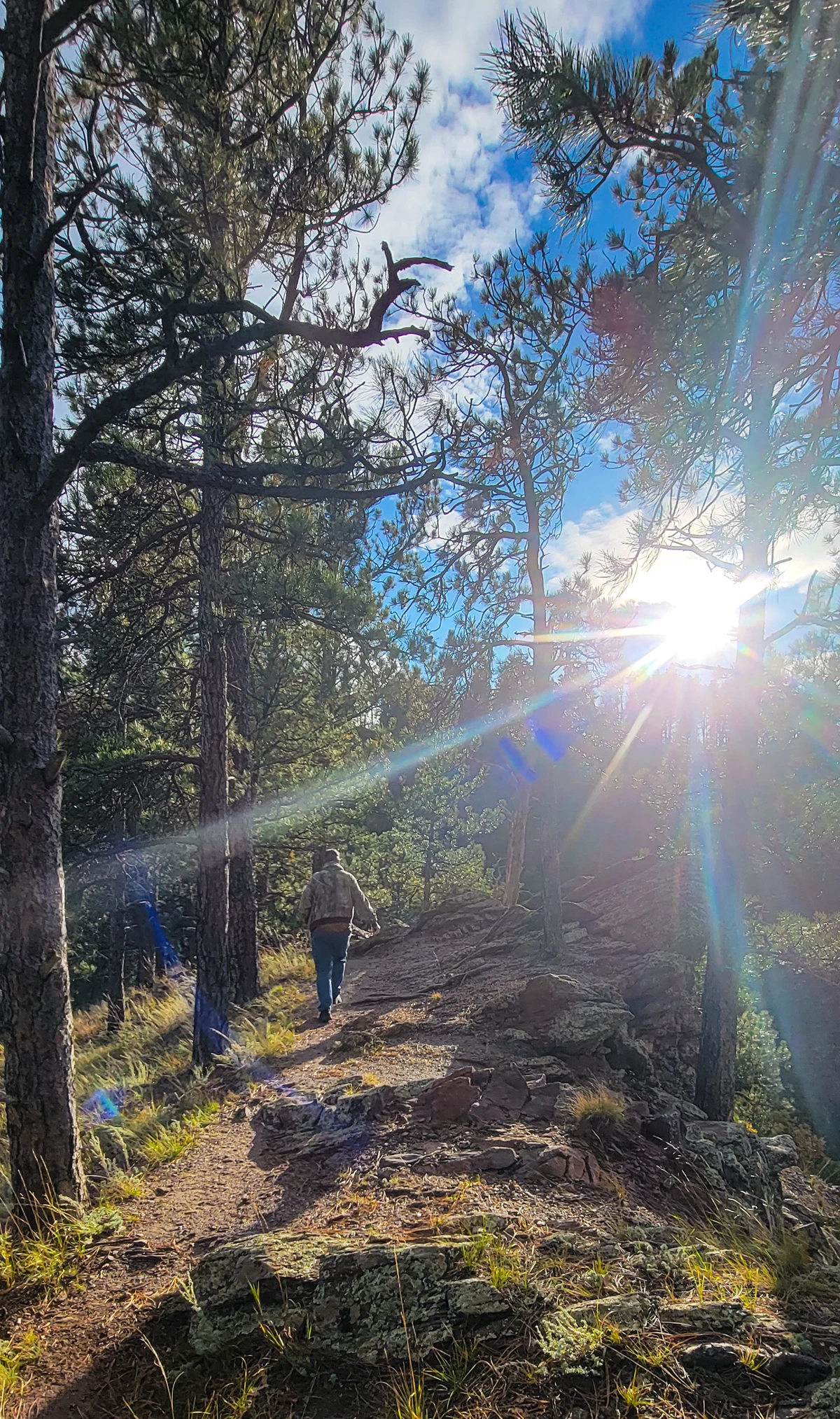 things to do in custer state park