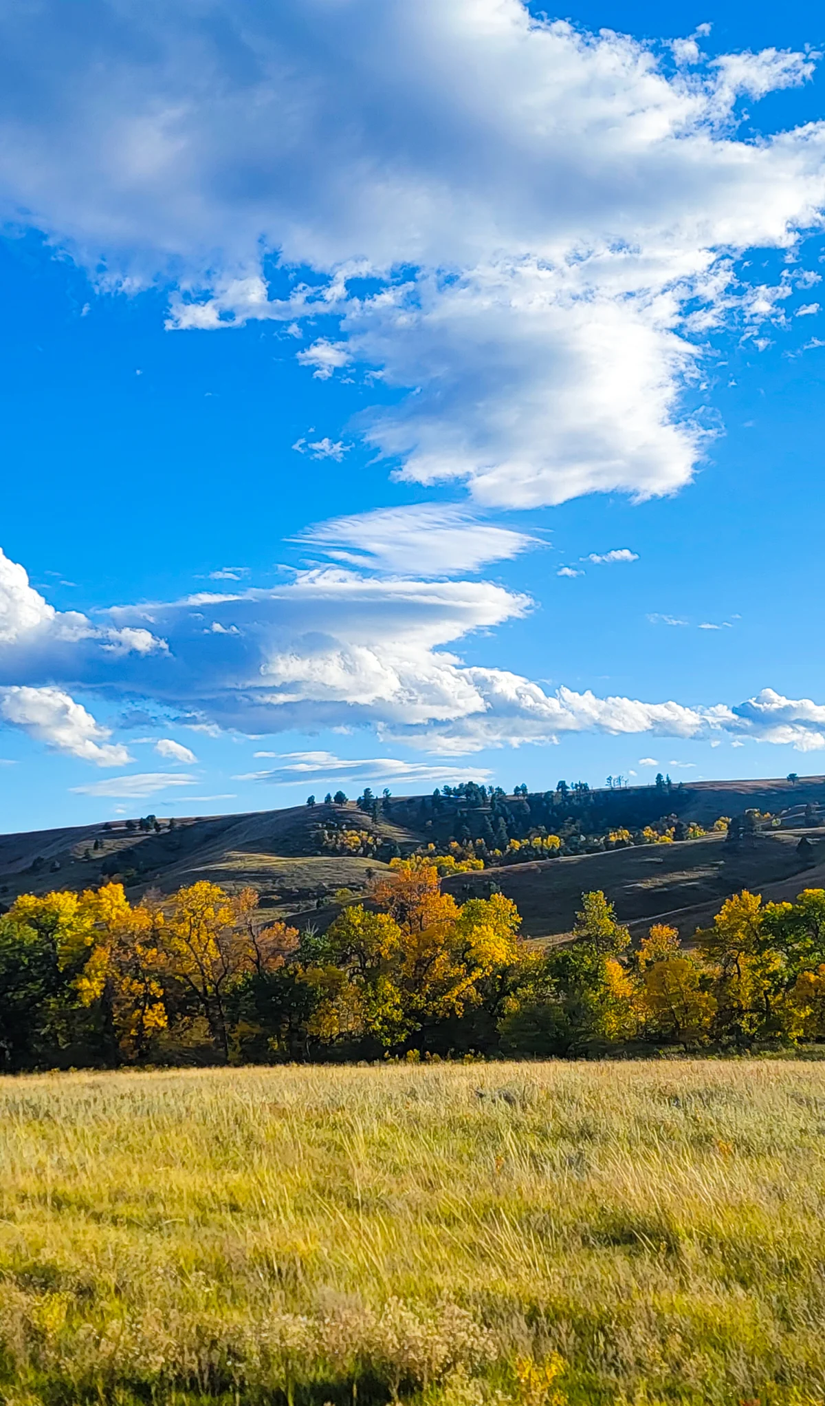 31 Best things to do in Custer State Park