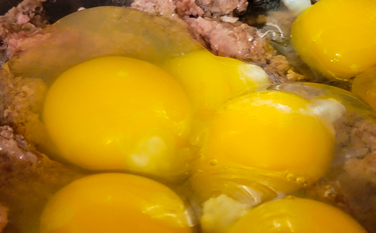 eggs in homemade pet food 