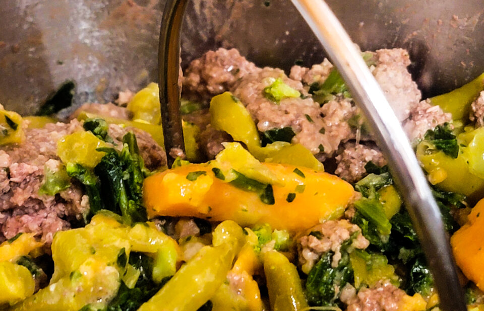 Gallery Detail: Grain Free Dog Food Recipe