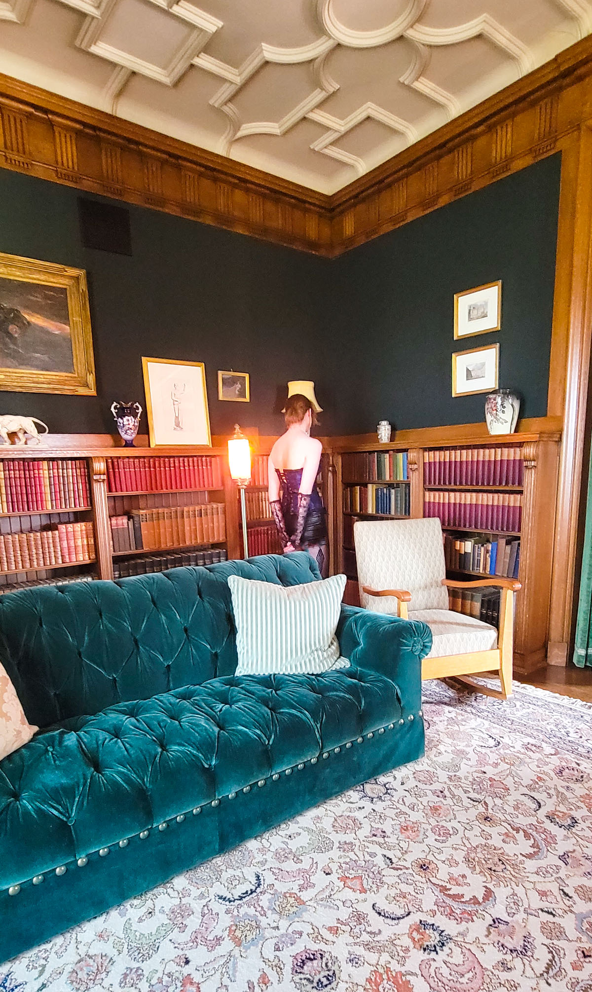Brucemore Mansion library 