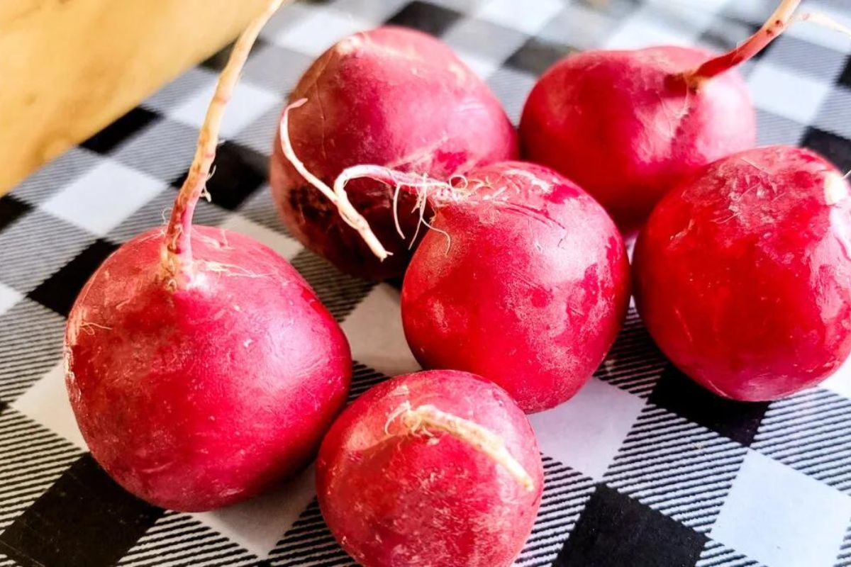 radish benefits for weight loss and health