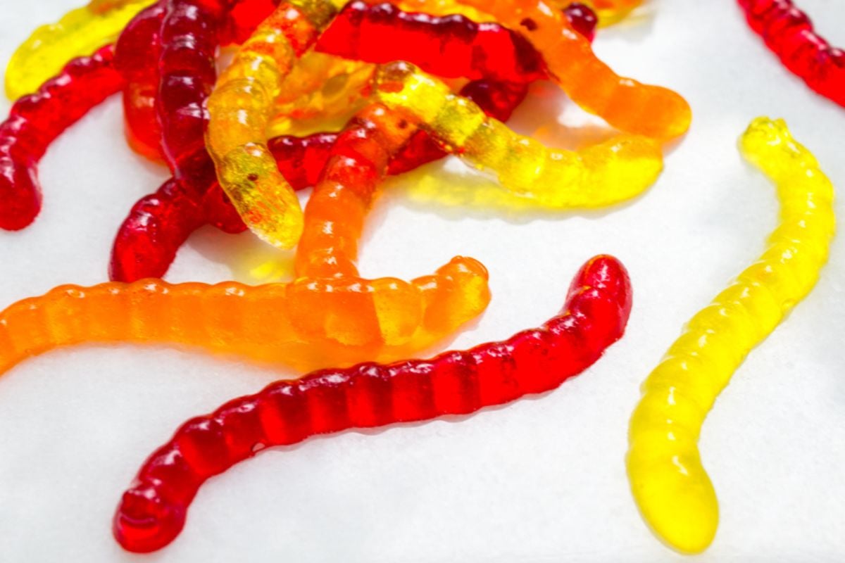 Sugar Free Jello Gummy Bears Recipe