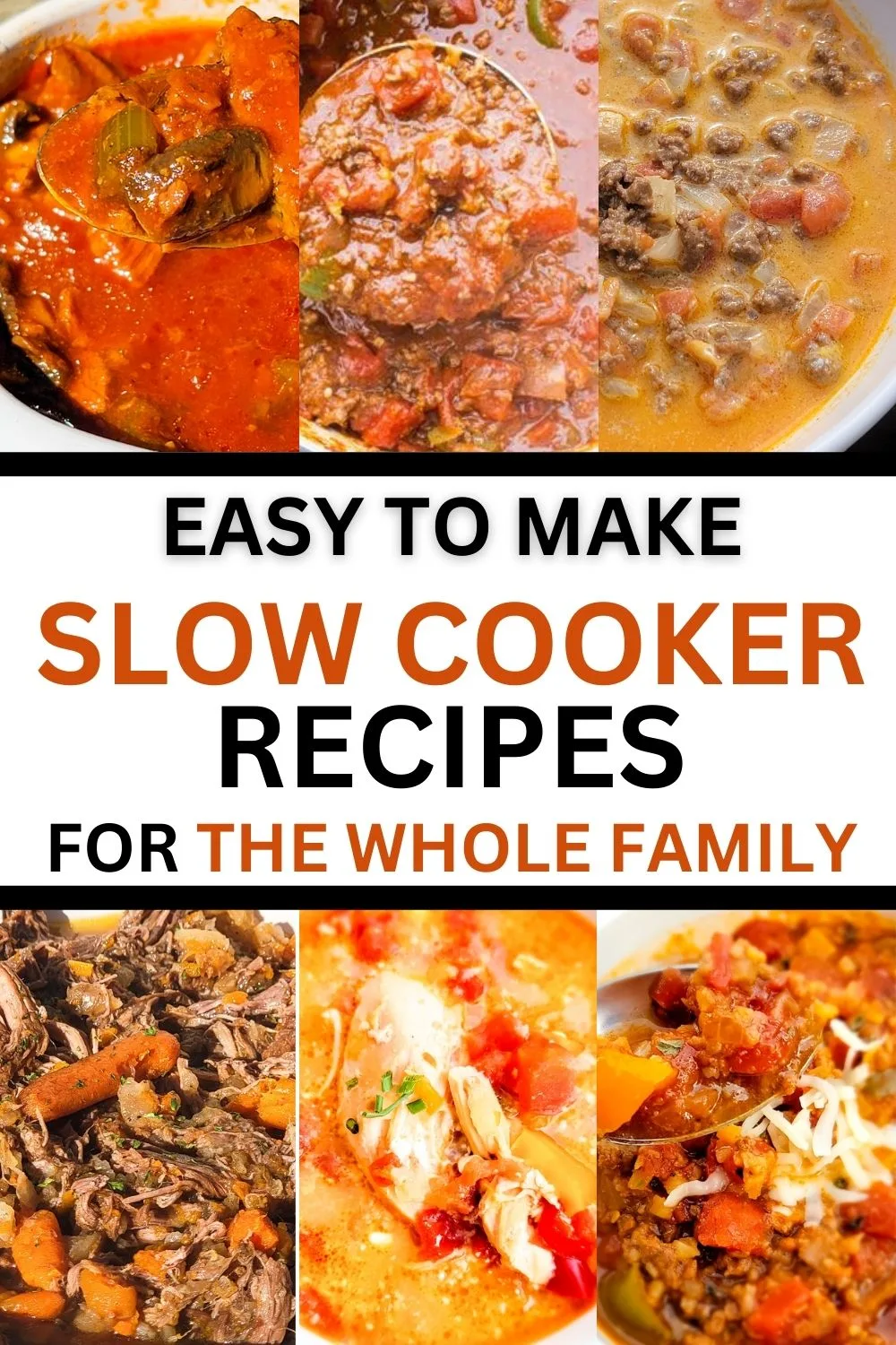 Slow Cooker Recipes for the Whole Family.