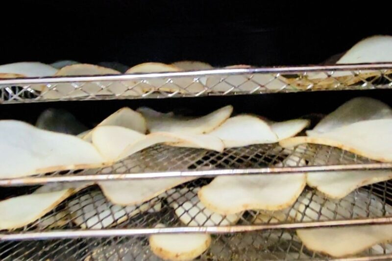 oil free potato chips made in the air fryer